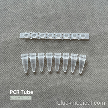 Strisce del tubo PCR 0,2 ml 0,1 ml